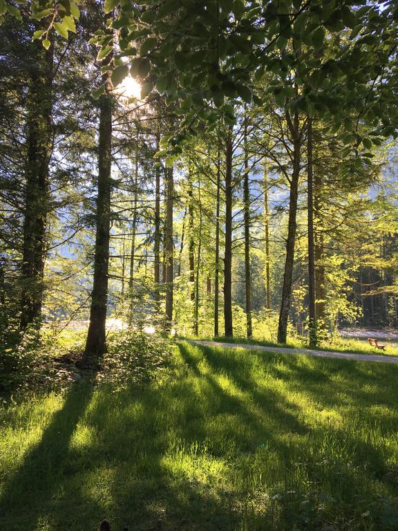 Landhaus Lilly Obertraun Exteriör bild