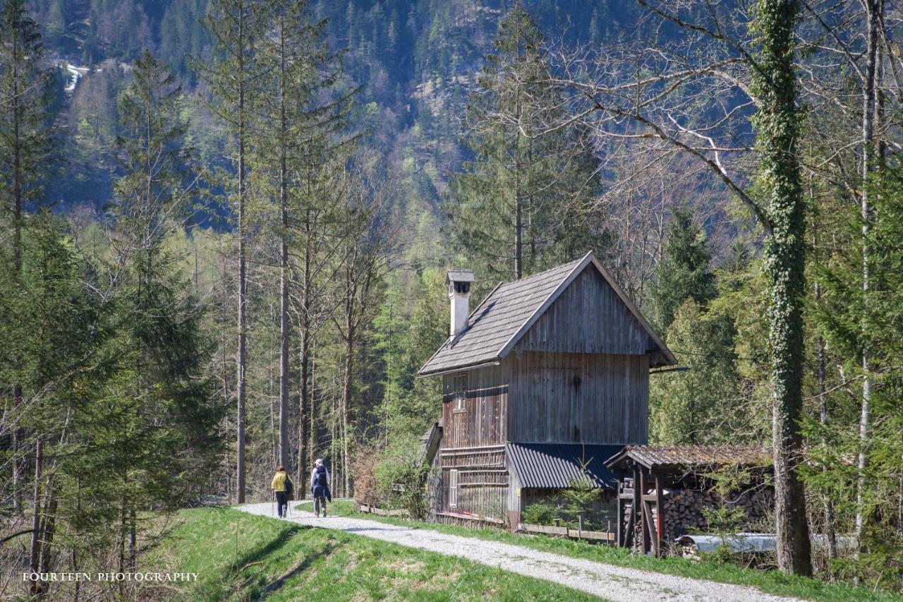 Landhaus Lilly Obertraun Exteriör bild